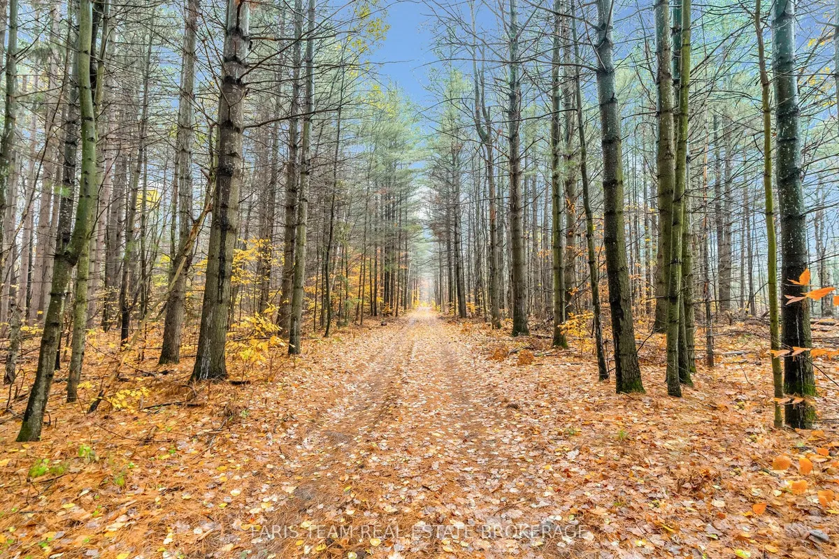 5992 Concession 2 Sunnidale N/A, ON L0M 1N0