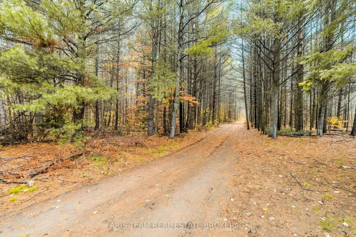 5992 Concession 2 Sunnidale N/A, ON L0M 1N0