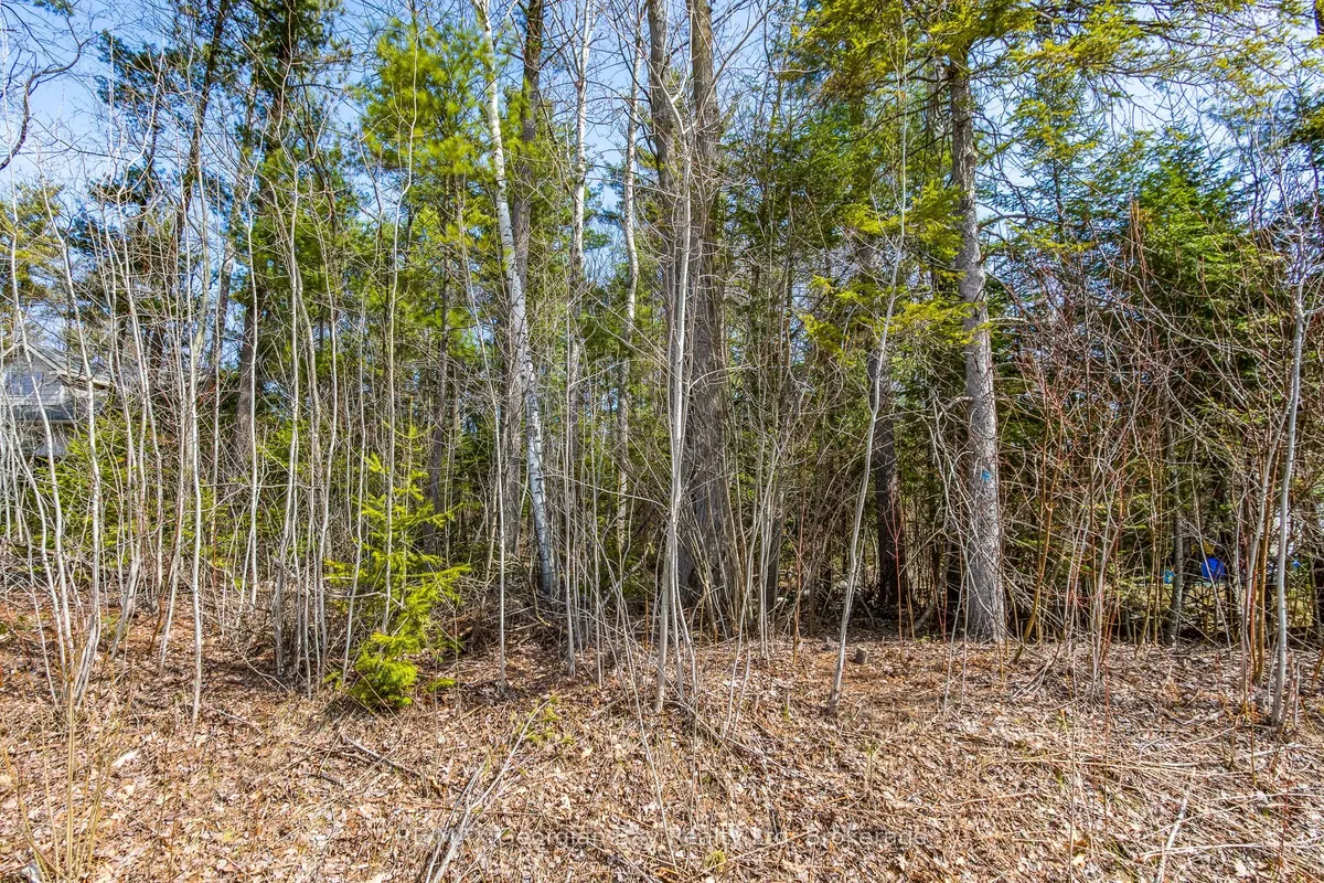 Lot 102 Emilio Street, ON L0L 2T0