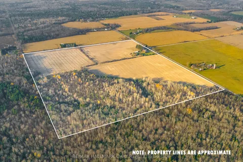 700 Baseline Road, Tiny, ON L4R 4K4