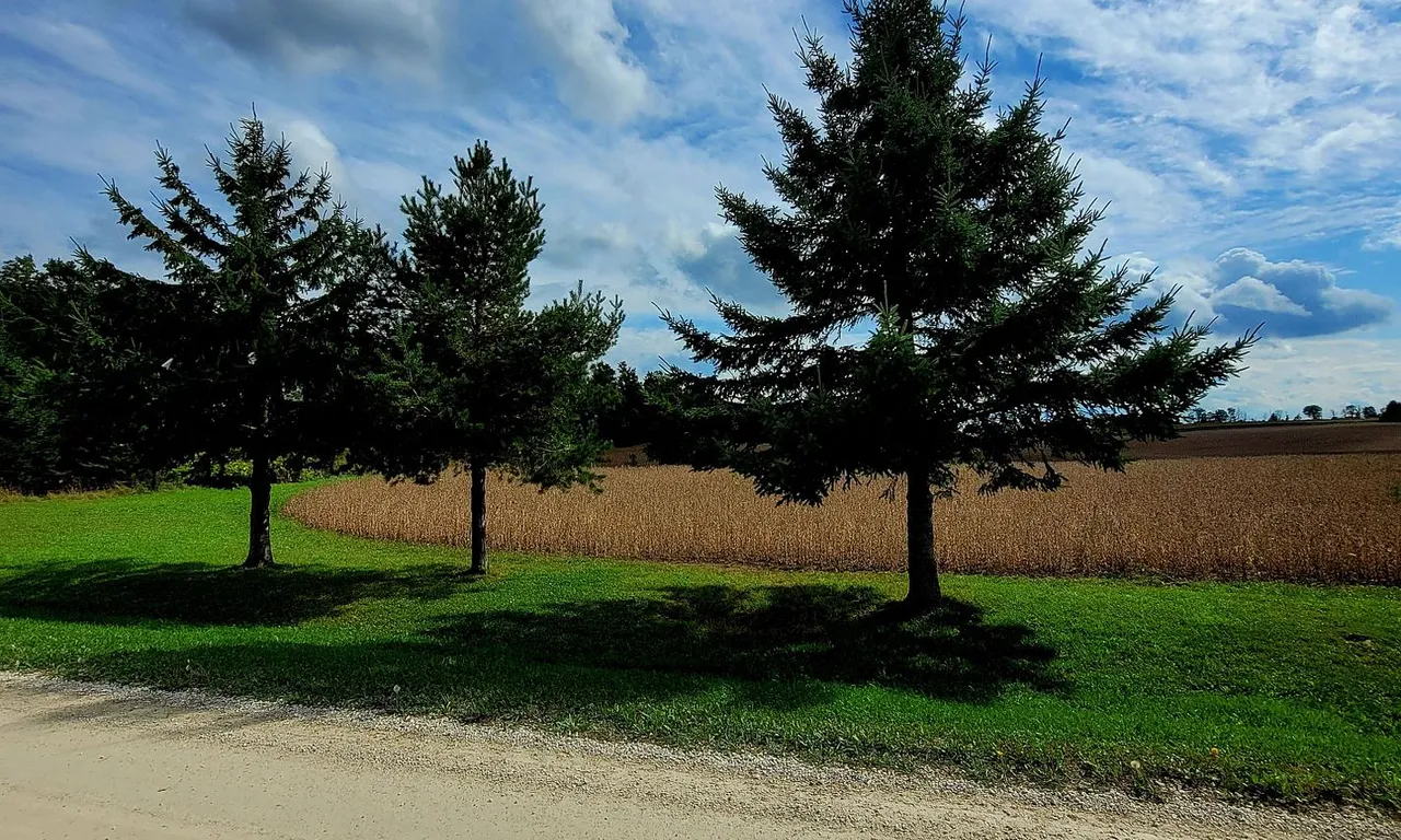 6449 12/13 Sdrd, Clearview, ON L0M 1S0