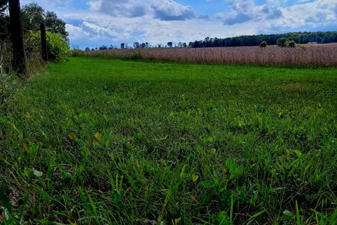 6449 12/13 Sdrd, Clearview, ON L0M 1S0