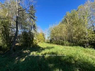 1439 Florida Ave, Ramara, ON L0K 1B0