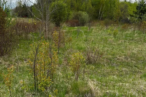 PT 355 LT31 CON3 NOTTAWASAGA, Clearview, ON L0M 1S0