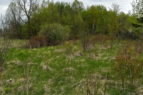 PT 355 LT31 CON3 NOTTAWASAGA, Clearview, ON L0M 1S0