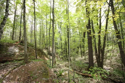 3197 Severn River, Severn, ON K0K 1E0