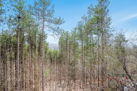 7 Pine Pt, Oro-Medonte, ON L4M 4Y8