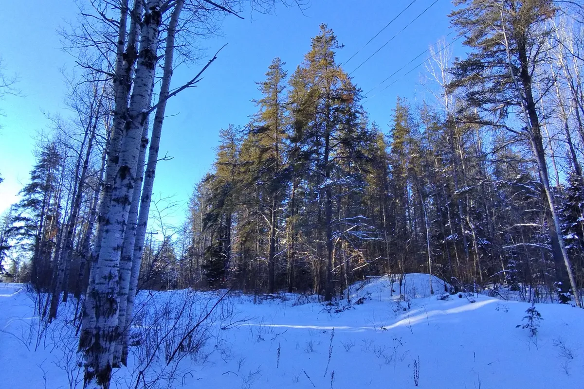 Part 11 Girl Guide Road, ON P0J 1C0