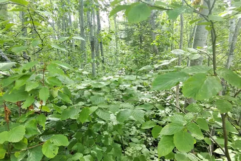 Part 13 Girl Guide Road, ON P0C 1C0