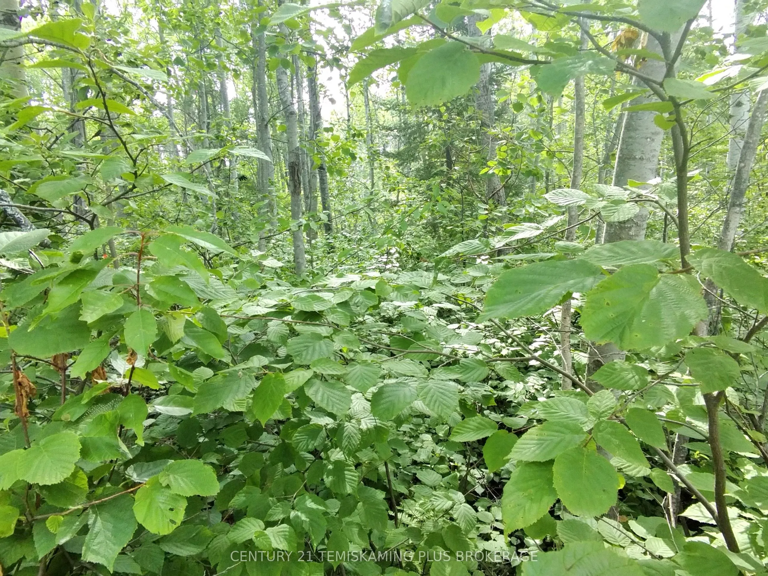 Part 13 Girl Guide Road, ON P0C 1C0