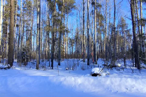 Part 12 Girl Guide Road, ON P0J 1C0