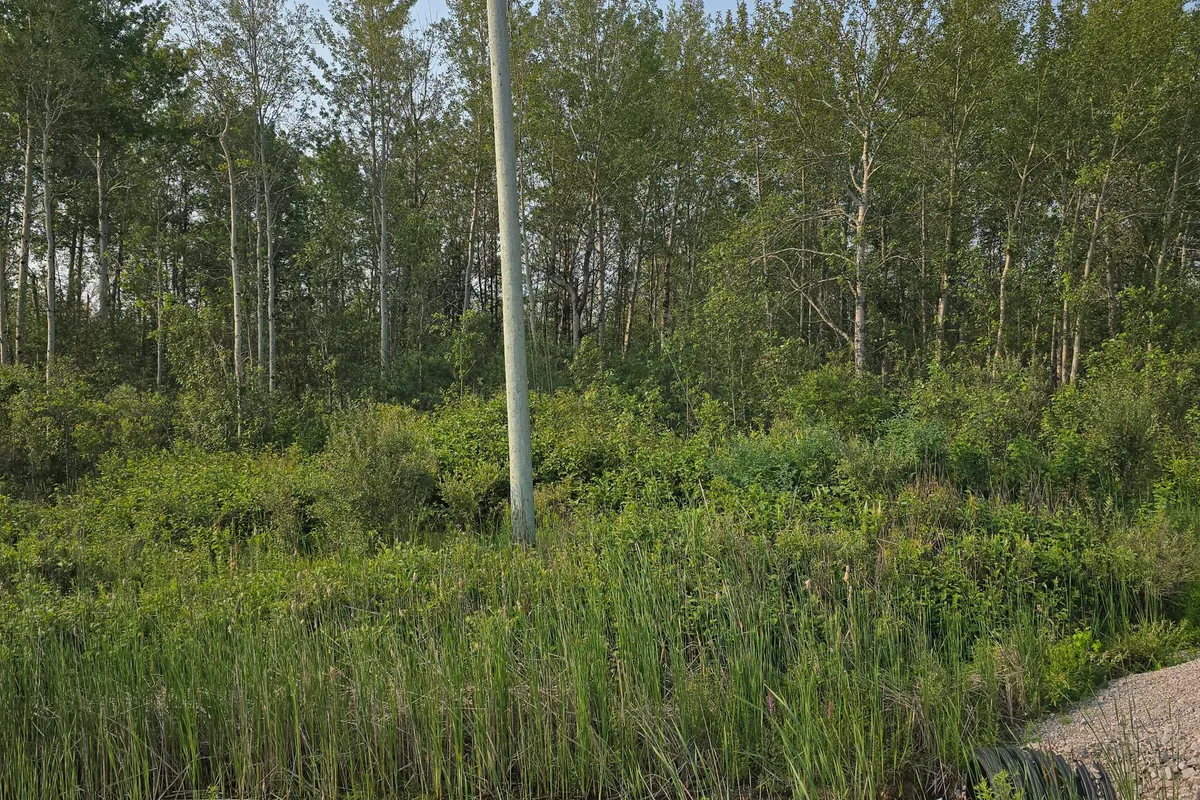 Lot 11 Highway 11 Highway, ON P0J 1H0