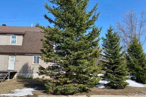 223 Fyfe Avenue, Iroquois Falls, ON P0K 1E0