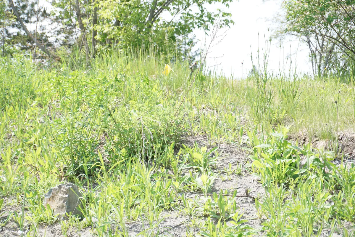 93 JAMIESON Street, ON P0J 1C0