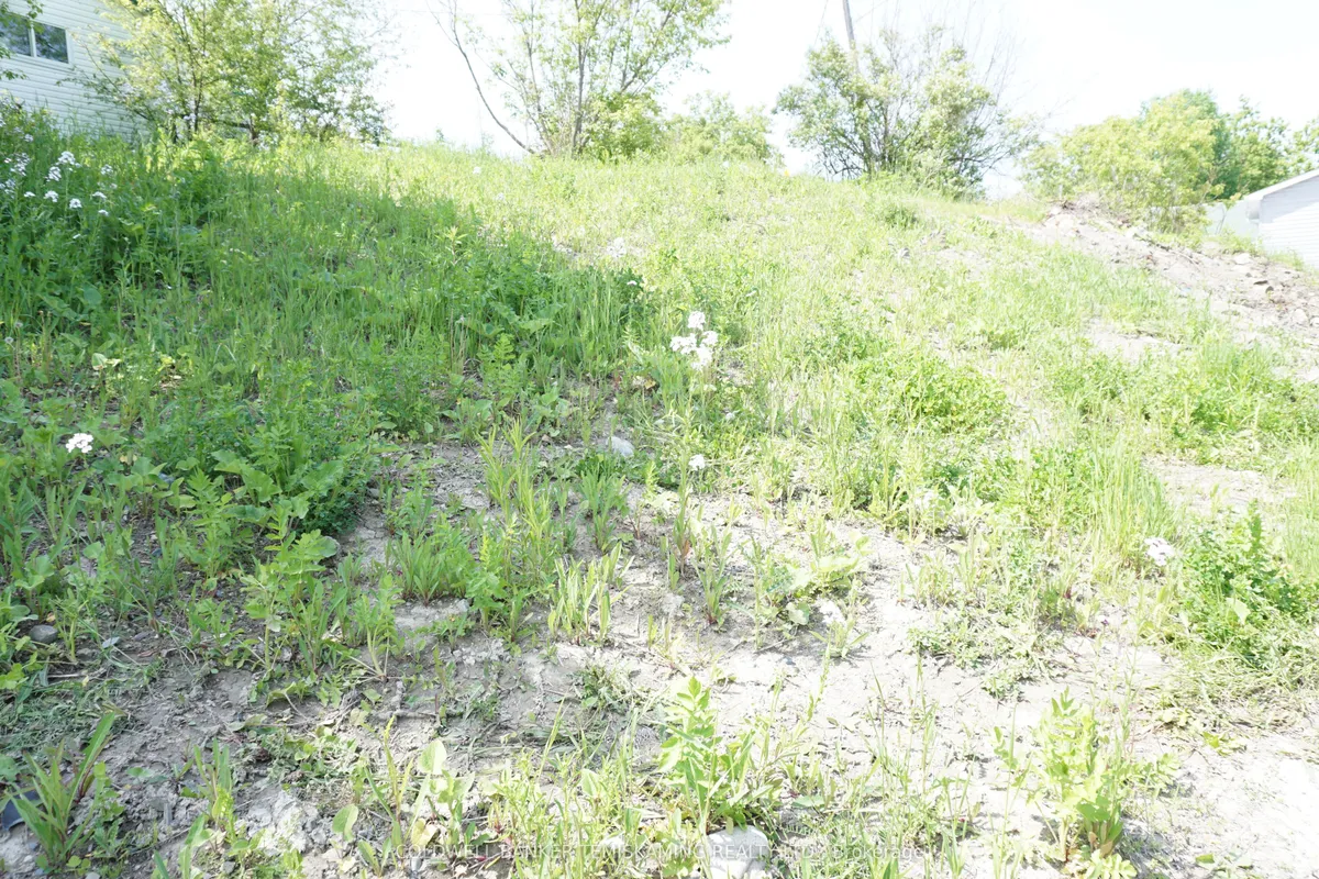 93 JAMIESON Street, ON P0J 1C0