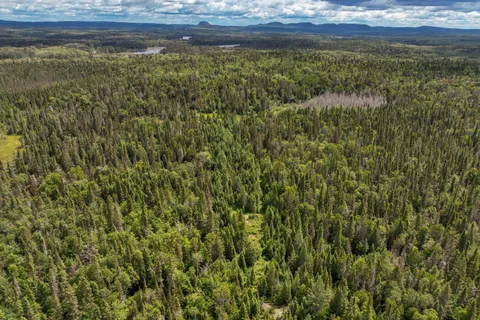 PC10113 MINING CLAIM L10148 N/A, ON P0K 1L0