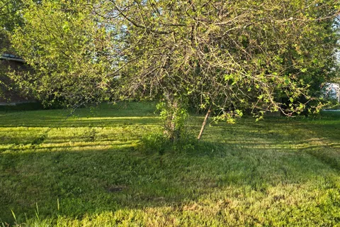 66 Seventh Avenue, ON P0J 1H0