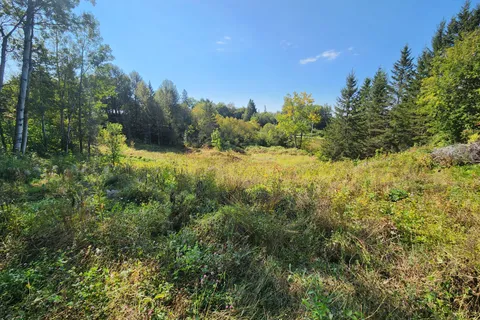 LT 7-9 Main Street, ON P0J 1B0