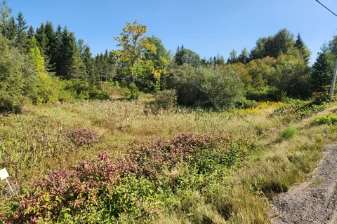 LT10-12 Main Street, ON P0J 1B0