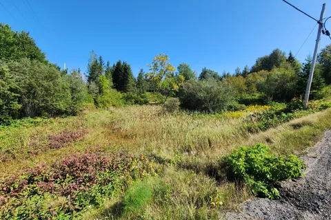 LT10-12 Main Street, ON P0J 1B0