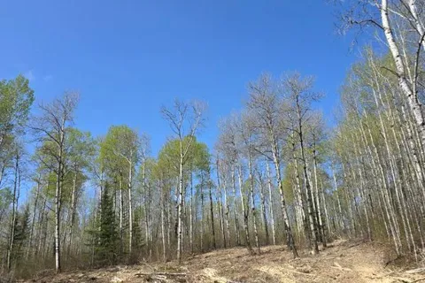 211-218 Farrah Avenue, ON P0J 1B0