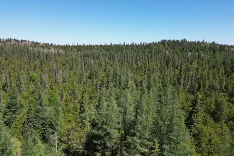 LT4,C6 HWY 11 Highway, ON P0L 1H0