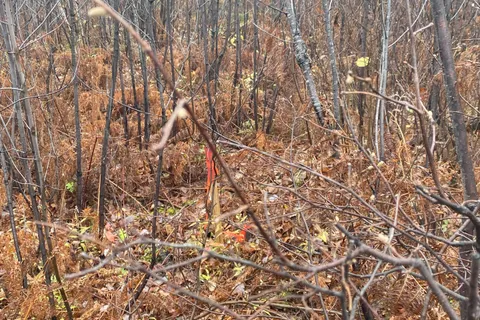 Lt 1 Con 6 54R-6390 Lot 1 Con 6 Marter TWP Road, ON P0J 1H0