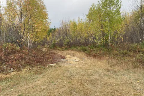 Lt 1 Con 6 54R-6390 Lot 1 Con 6 Marter TWP Road, ON P0J 1H0