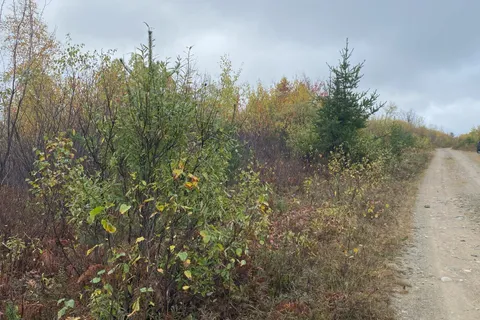 Lt 1 Con 6 54R-6390 Lot 1 Con 6 Marter TWP Road, ON P0J 1H0