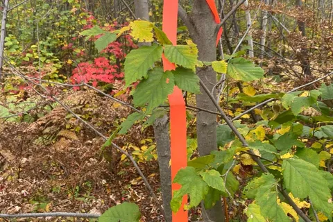 L1C1 54R-6371 Catharine Road, ON P0J 1H0