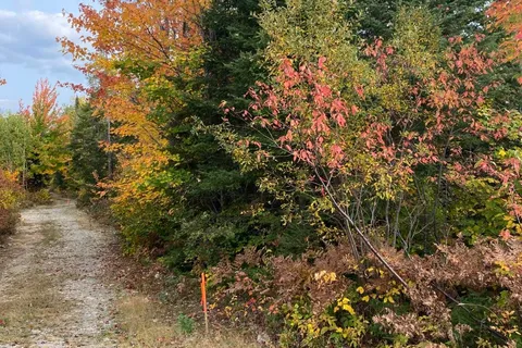 L1C1 54R-6371 Catharine Road, ON P0J 1H0