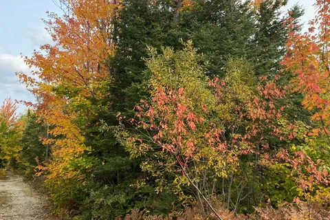 L1C1 54R-6371 Catharine Road, ON P0J 1H0