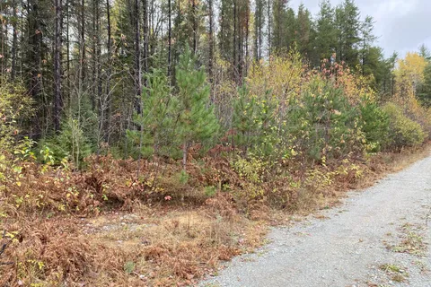 Lot 1 Con 5 Marter 54R-6396 Road, ON P0J 1H0