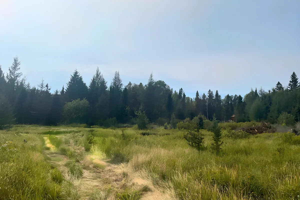 N/A PCL 16114 SEC SST & PCL 16111 SEC SST N/A, ON P0K 1L0