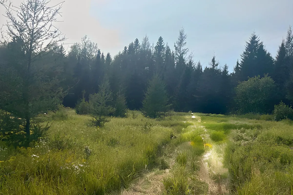 N/A PCL 16114 SEC SST & PCL 16111 SEC SST N/A, ON P0K 1L0