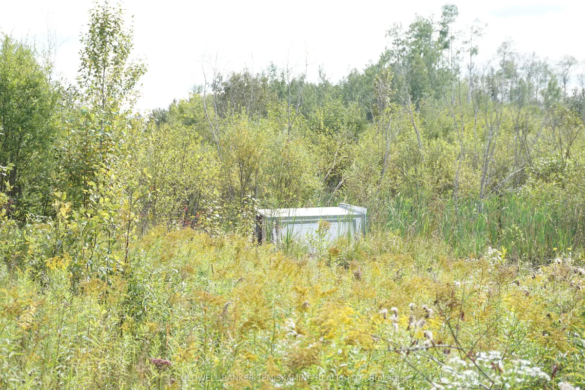 Lot 1 CAMPBELL'S Road, ON P0J 1B0