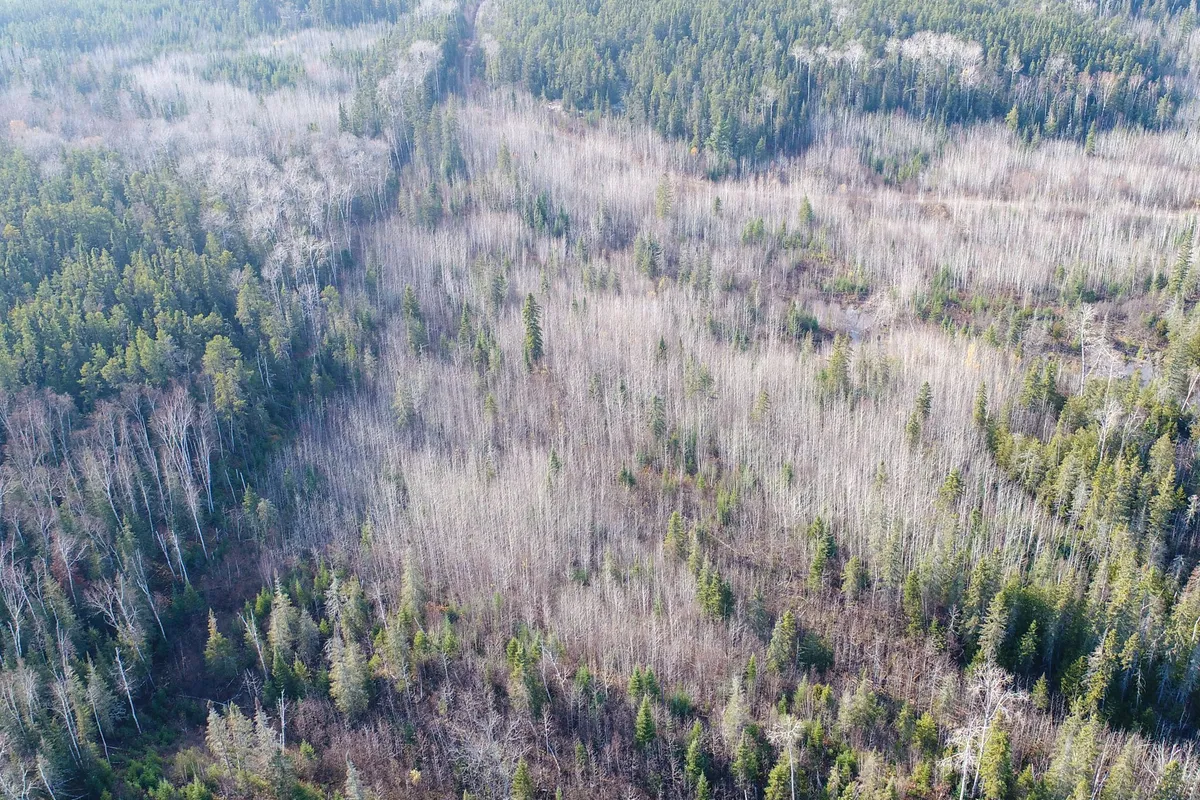 Lot 11 Con 4, Long Lake N/A, ON P0J 1H0