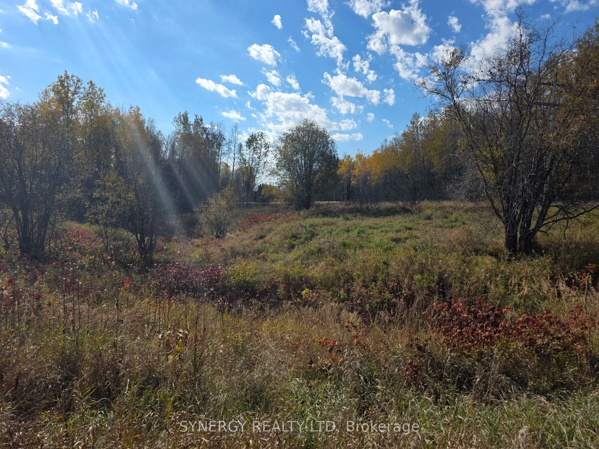 Con 6 N Pt Lot 12 Road, ON P0K 1V0