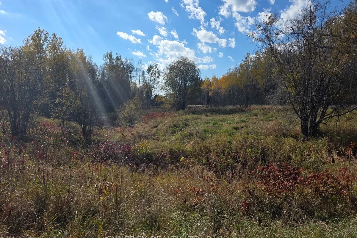 Con 6 N Pt Lot 12 Road, ON P0K 1V0