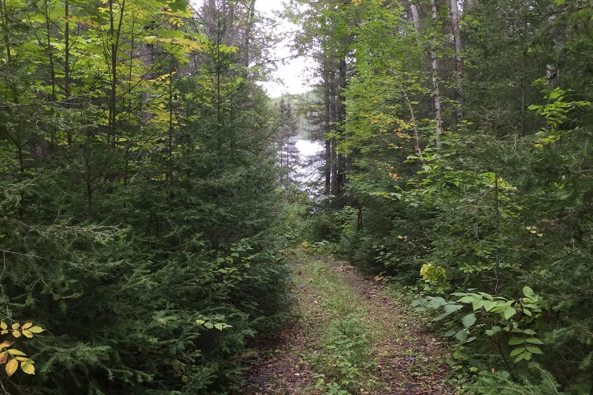 PT Lot 2 CON 4 COLEMAN N/A, ON P0J 1C0