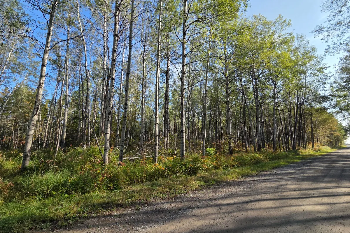 774038 Bear Road, ON P0J 1B0