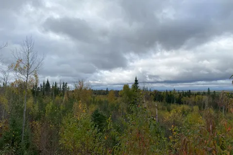 Lot 2 Con 1 Concession, ON P0J 1H0