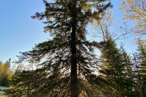 6524 Highway 11 Highway, ON P0K 1G0