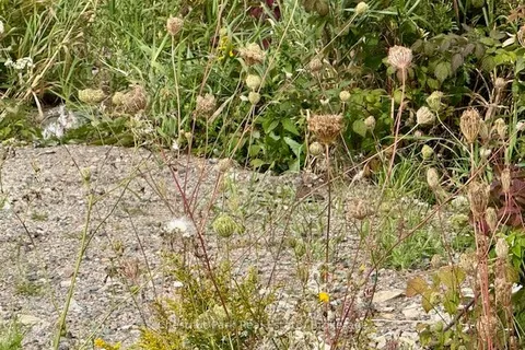 0 Highway 11 North Highway, ON P0J 1H0