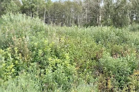 0 Highway 11 North Highway, ON P0J 1H0