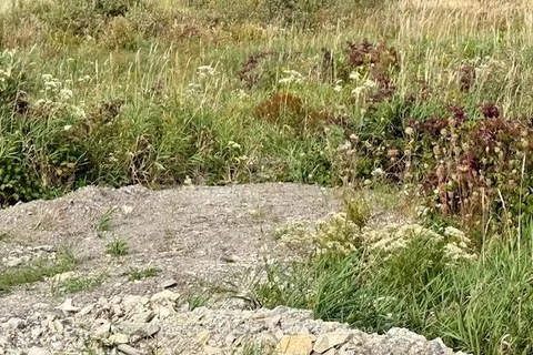 0 Highway 11 North Highway, ON P0J 1H0