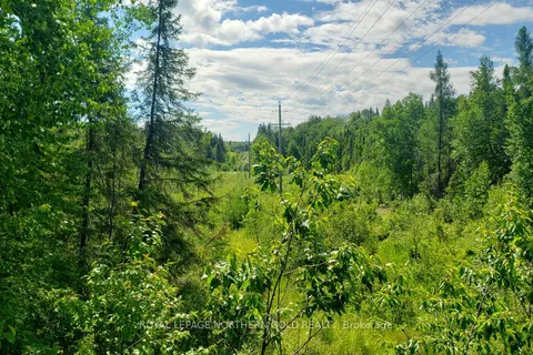 PCL 8984 Hwy 66 Highway, ON P0K 1K0