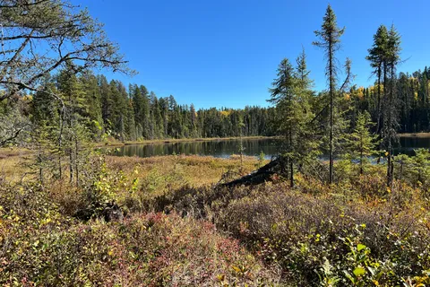 PCL5449 PCL 5448; PCL 5447 SEC CST N/A, ON P2N 2R4