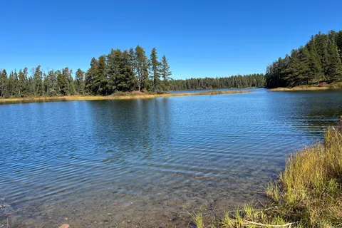 PCL5449 PCL 5448; PCL 5447 SEC CST N/A, ON P2N 2R4