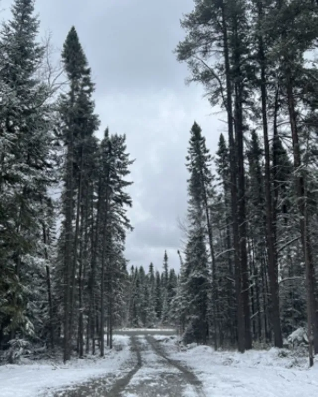 29 Airport Road, ON P2N 3P1